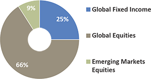 25% Global Fixed Income, 66% Global Equities, 9% Emerging Markets Equities